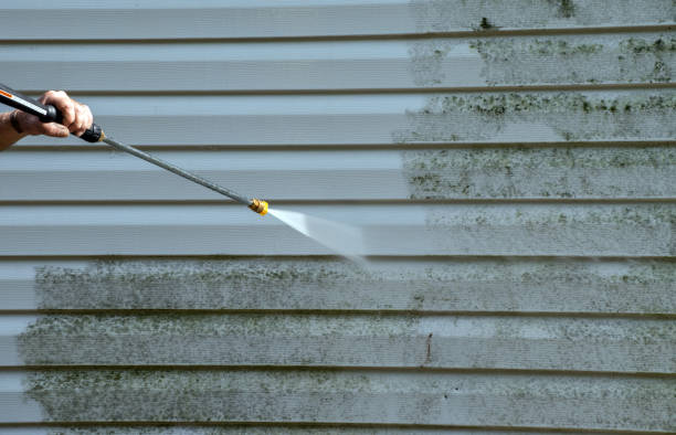 Best Driveway Pressure Washing  in South Brooksville, FL
